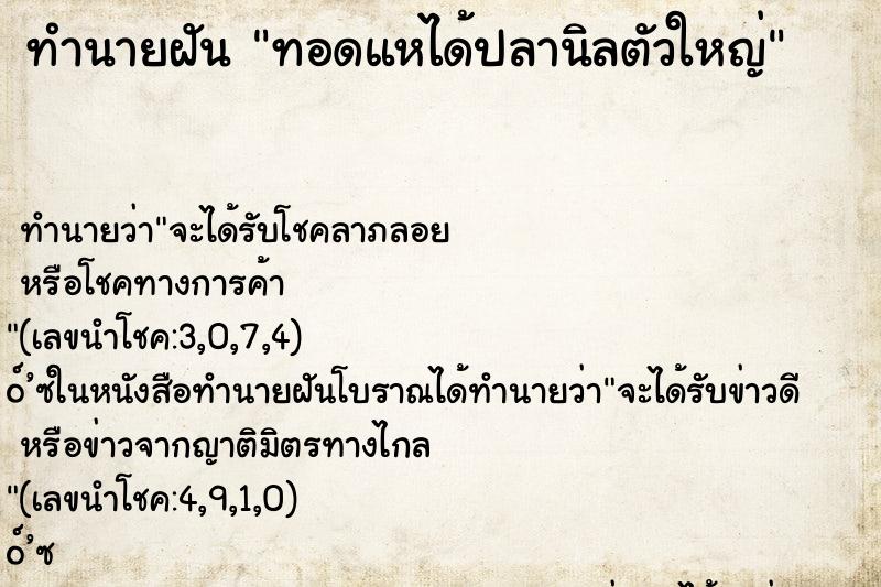 ทำนายฝัน ทอดแหได้ปลานิลตัวใหญ่