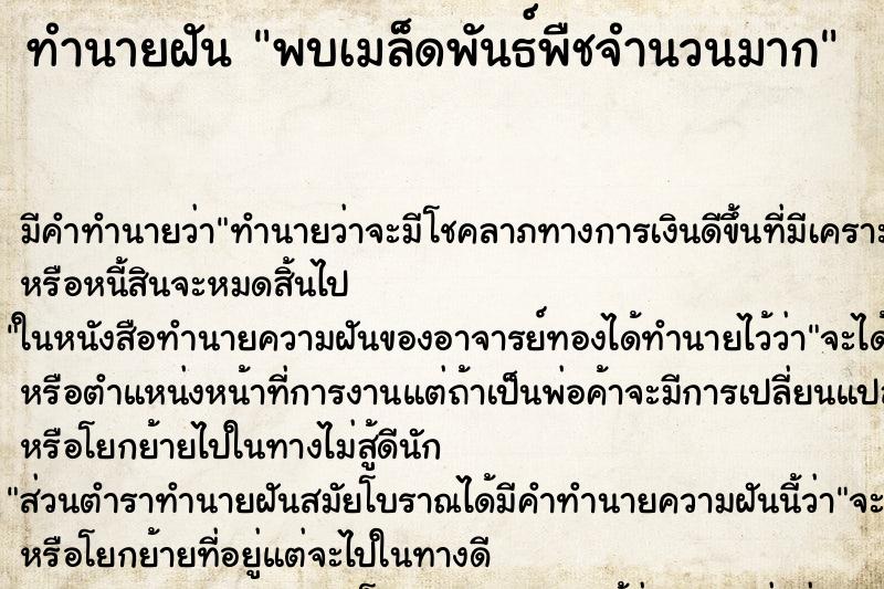 ทำนายฝันทำนายฝันพบเมล็ดพันธ์พืชจำนวนมาก