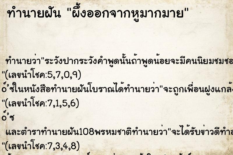 ทำนายฝัน ผึ้งออกจากหูมากมาย ทำนายฝัน ผึ้งออกจากหูมากมาย