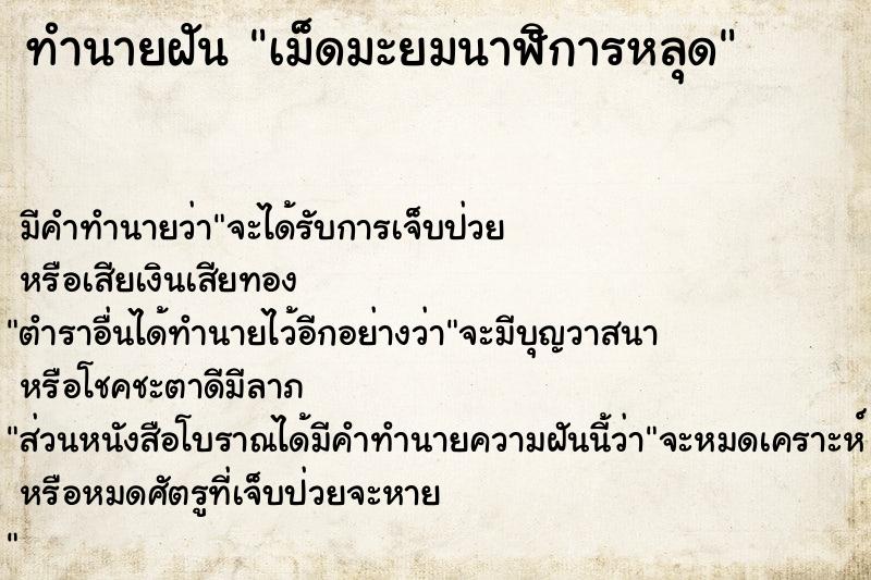 ทำนายฝัน เม็ดมะยมนาฬิการหลุด ทำนายฝัน เม็ดมะยมนาฬิการหลุด