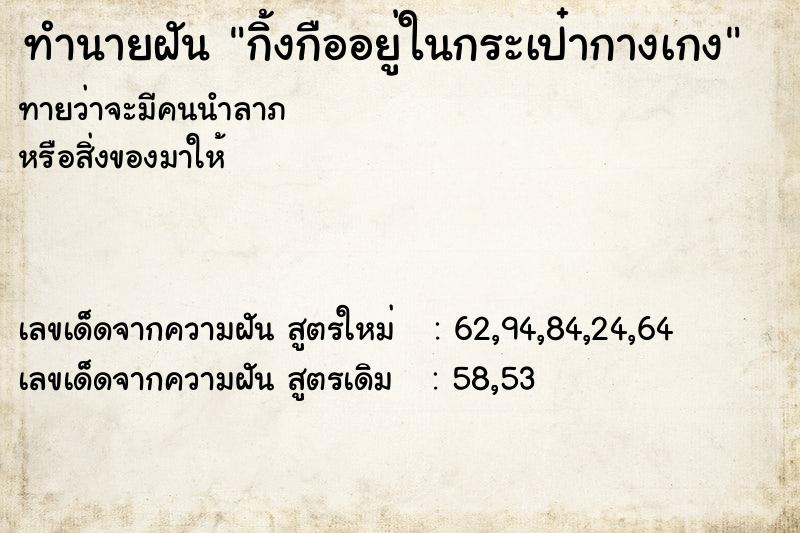 ทำนายฝัน กิ้งกืออยู่ในกระเป๋ากางเกง