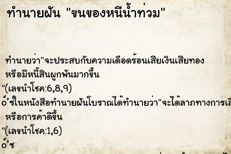 ทำนายฝัน ขนของหนีน้ำท่วม