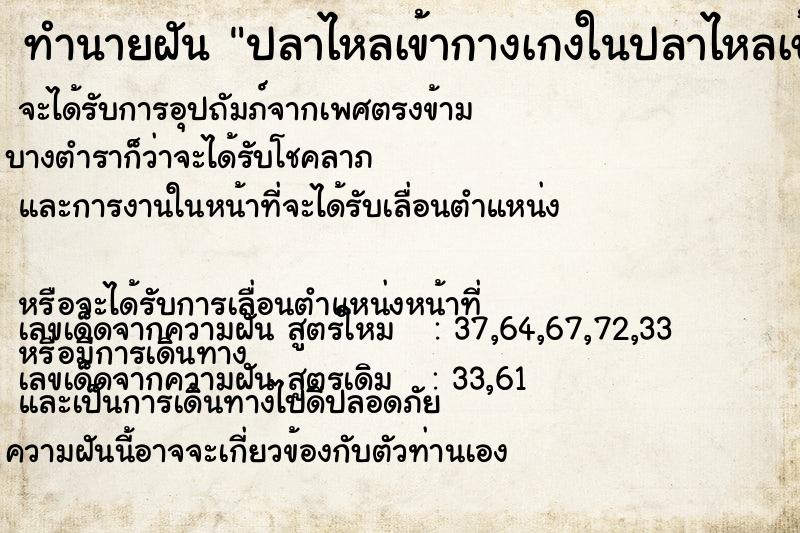 ทำนายฝัน ปลาไหลเข้ากางเกงในปลาไหลเข้ากางเกงใน ทำนายฝัน ปลาไหลเข้ากางเกงในปลาไหลเข้ากางเกงใน