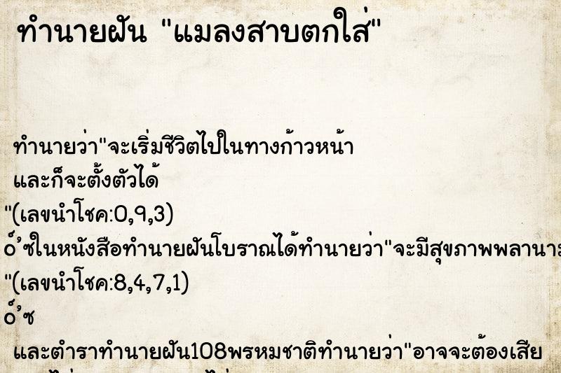 ทำนายฝันทำนายฝันแมลงสาบตกใส่