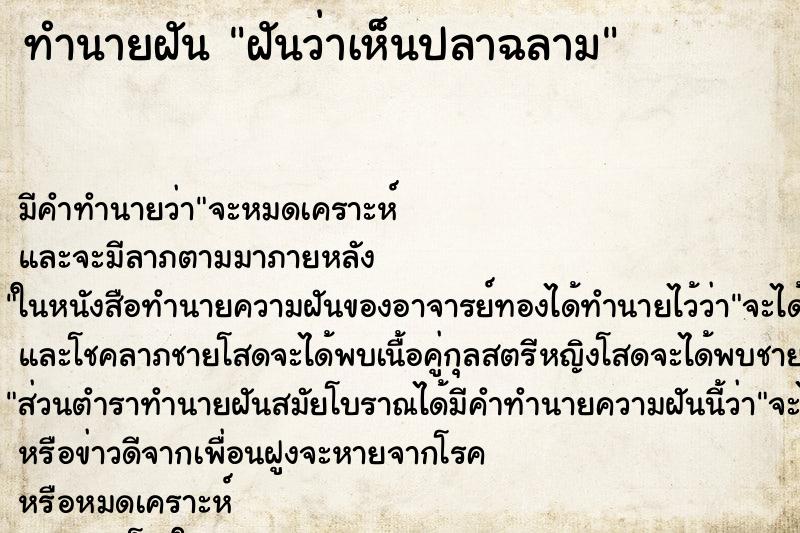 ทำนายฝันฝันว่าเห็นปลาฉลาม ทำนายฝันทำนายฝันฝันว่าเห็นปลาฉลาม