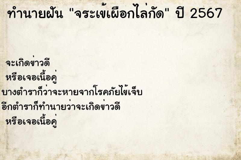 ทำนายฝันทำนายฝันจระเข้เผือกไล่กัด