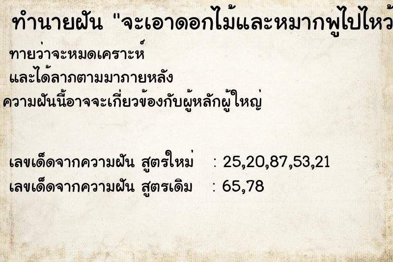 ทำนายฝันจะเอาดอกไม้และหมากพูไปไหว้ศาลตายาย ทำนายฝันทำนายฝันจะเอาดอกไม้และหมากพูไปไหว้ศาลตายาย