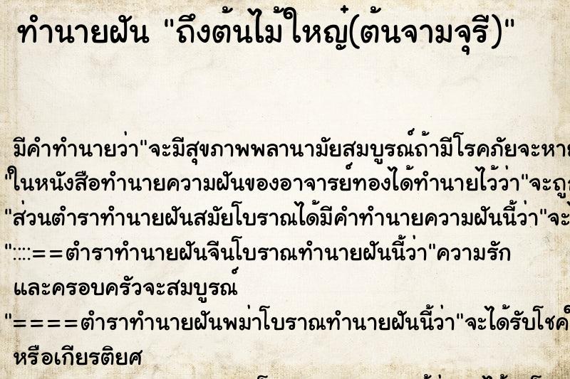 ทำนายฝัน ถึงต้นไม้ใหญ๋(ต้นจามจุรี)