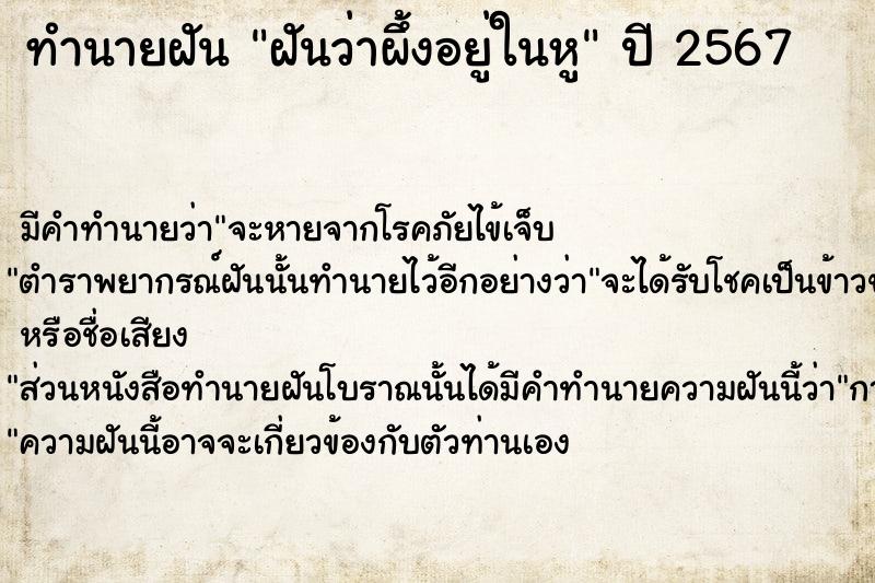 ทำนายฝัน ฝันว่าผึ้งอยู่ในหู ทำนายฝัน ฝันว่าผึ้งอยู่ในหู