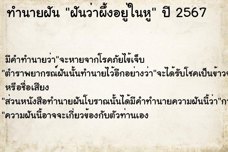 ทำนายฝัน ฝันว่าผึ้งอยู่ในหู ตำราโบราณ แม่นที่สุดในโลก