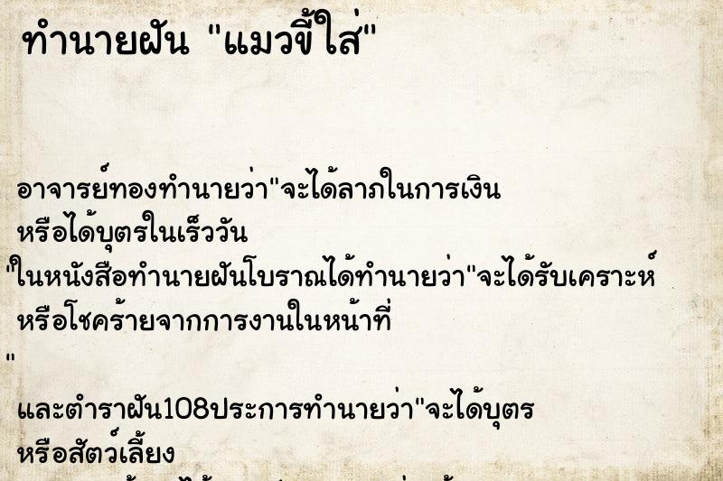 ทำนายฝัน แมวขี้ใส่