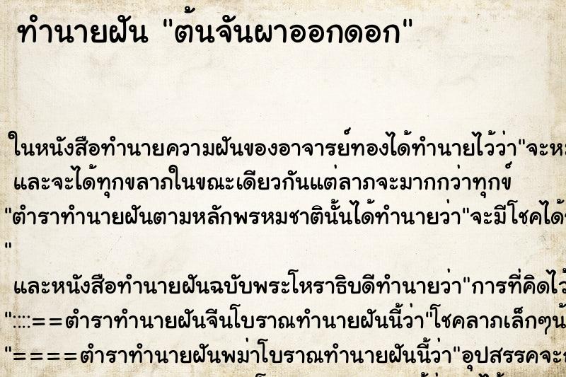 ทำนายฝัน ต้นจันผาออกดอก ทำนายฝัน ต้นจันผาออกดอก