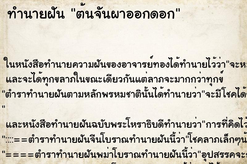 ทำนายฝัน ต้นจันผาออกดอก ตำราโบราณ แม่นที่สุดในโลก