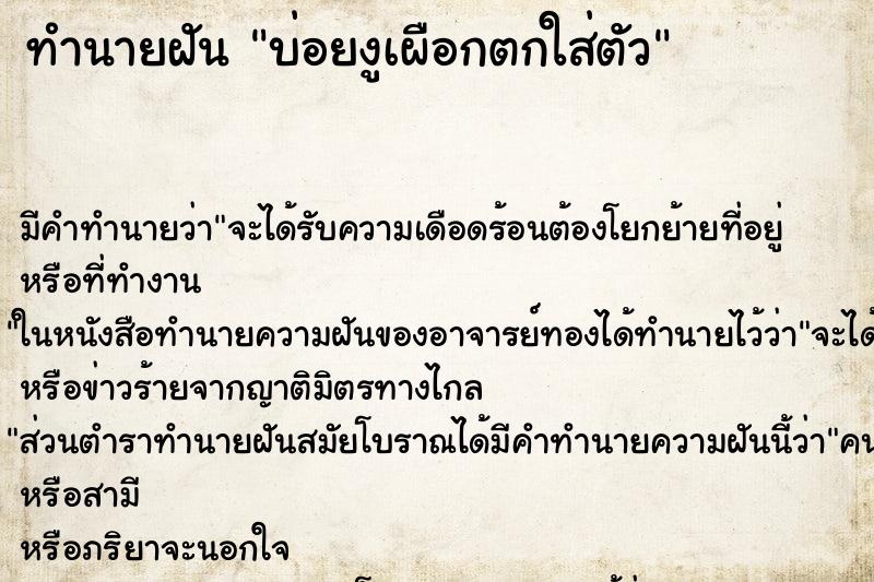 ทำนายฝันบ่อยงูเผือกตกใส่ตัว ทำนายฝันทำนายฝันบ่อยงูเผือกตกใส่ตัว