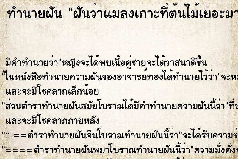 ทำนายฝัน ฝันว่าแมลงเกาะที่ต้นไม้เยอะมาก ทำนายฝัน ฝันว่าแมลงเกาะที่ต้นไม้เยอะมาก