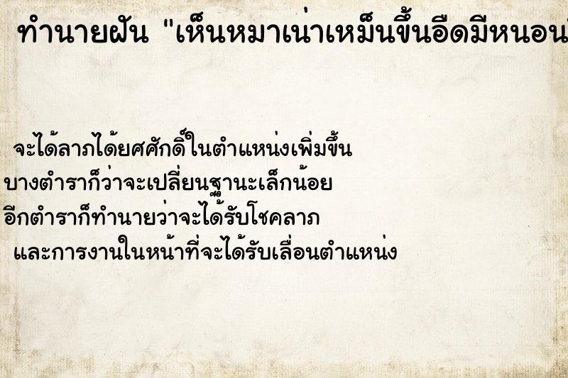 ทำนายฝัน เห็นหมาเน่าเหม็นขึ้นอืดมีหนอนขึ้นวัน ทำนายฝัน เห็นหมาเน่าเหม็นขึ้นอืดมีหนอนขึ้นวัน
