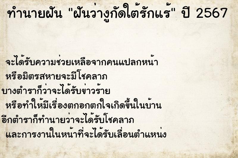 ทำนายฝันฝันว่างูกัดใต้รักแร้ ทำนายฝันทำนายฝันฝันว่างูกัดใต้รักแร้
