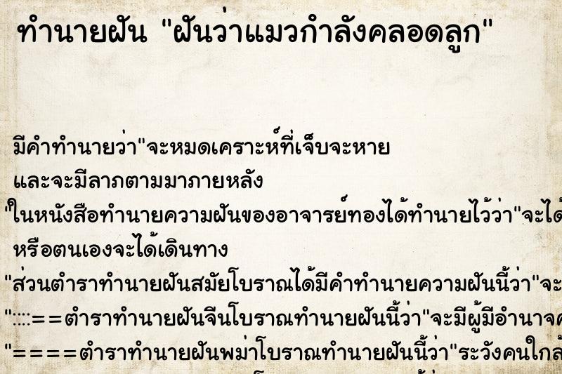 ทำนายฝันฝันว่าแมวกําลังคลอดลูก ทำนายฝันทำนายฝันฝันว่าแมวกําลังคลอดลูก