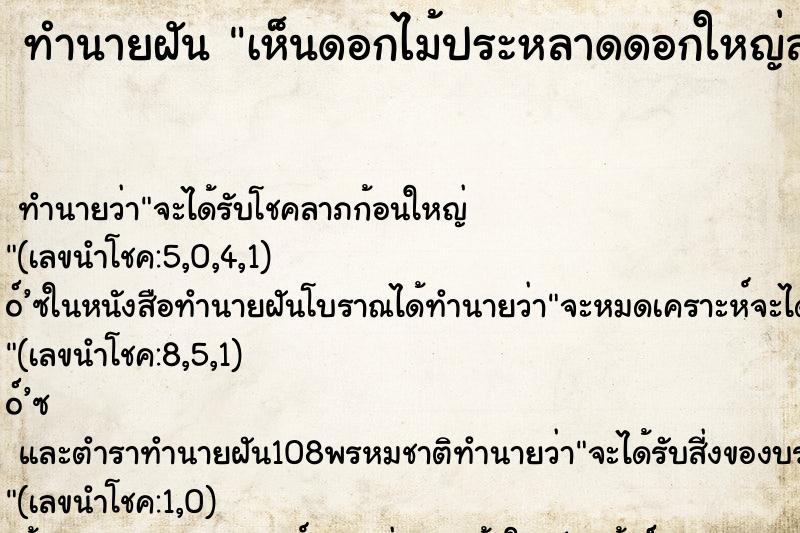ทำนายฝันเห็นดอกไม้ประหลาดดอกใหญ่สวย ทำนายฝันทำนายฝันเห็นดอกไม้ประหลาดดอกใหญ่สวย