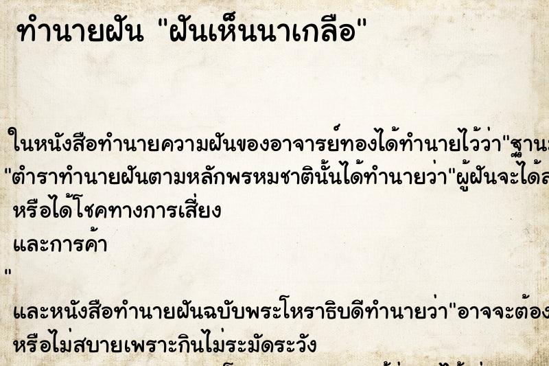 ทำนายฝันฝันเห็นนาเกลือ ทำนายฝันทำนายฝันฝันเห็นนาเกลือ