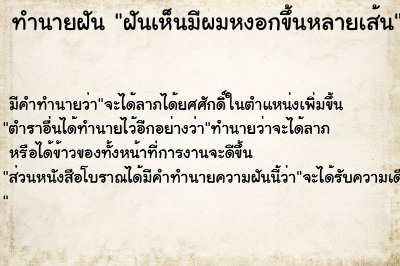 ทำนายฝันฝันเห็นมีผมหงอกขึ้นหลายเส้น ทำนายฝันทำนายฝันฝันเห็นมีผมหงอกขึ้นหลายเส้น