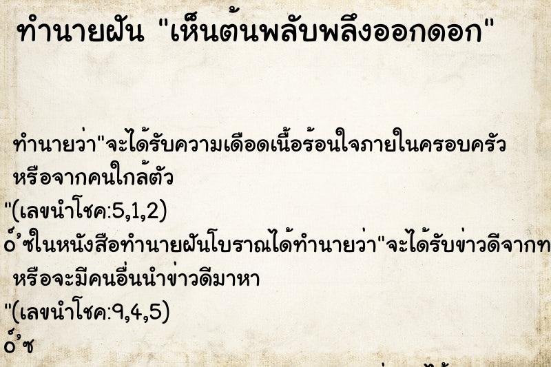 ทำนายฝัน เห็นต้นพลับพลึงออกดอก