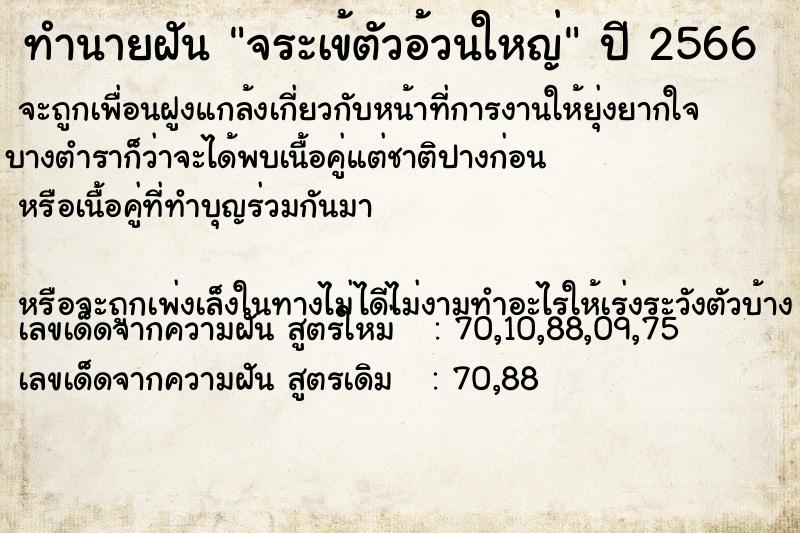 ทำนายฝันทำนายฝันจระเข้ตัวอ้วนใหญ่