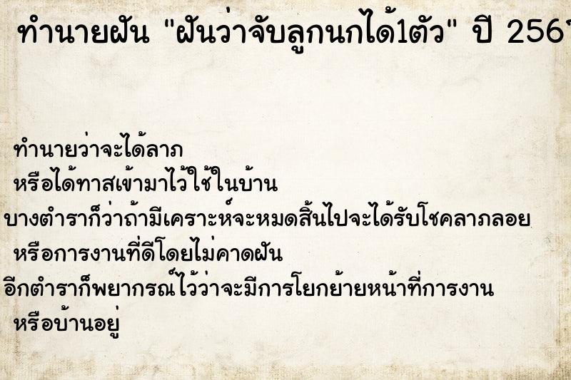 ทำนายฝัน ฝันว่าจับลูกนกได้1ตัว ทำนายฝัน ฝันว่าจับลูกนกได้1ตัว