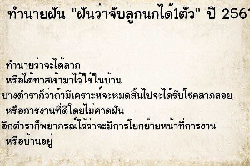 ทำนายฝัน ฝันว่าจับลูกนกได้1ตัว ตำราโบราณ แม่นที่สุดในโลก