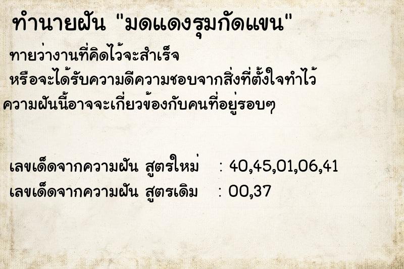 ทำนายฝัน มดแดงรุมกัดแขน ทำนายฝัน มดแดงรุมกัดแขน