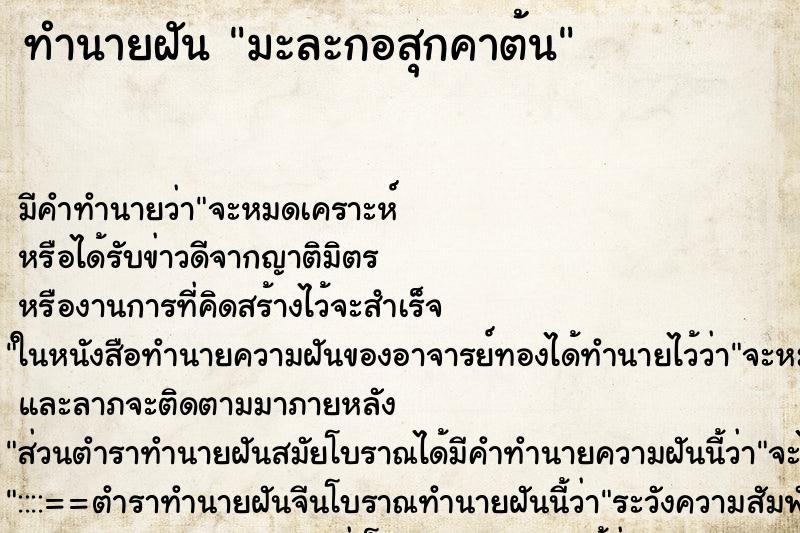 ทำนายฝันทำนายฝันมะละกอสุกคาต้น