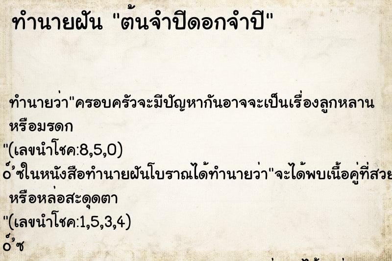 ทำนายฝันต้นจำปีดอกจำปี ทำนายฝันทำนายฝันต้นจำปีดอกจำปี