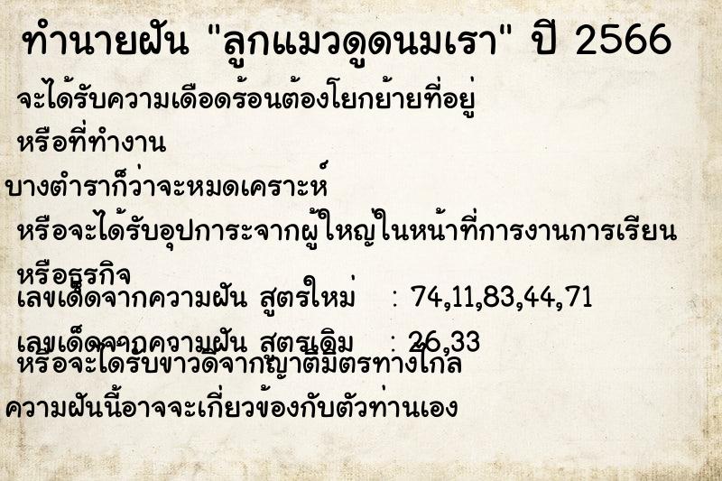ทำนายฝัน ลูกแมวดูดนมเรา ทำนายฝัน ลูกแมวดูดนมเรา
