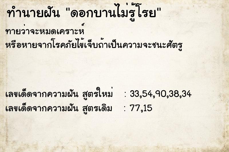 ทำนายฝัน ดอกบานไม่รู้โรย ทำนายฝัน ดอกบานไม่รู้โรย
