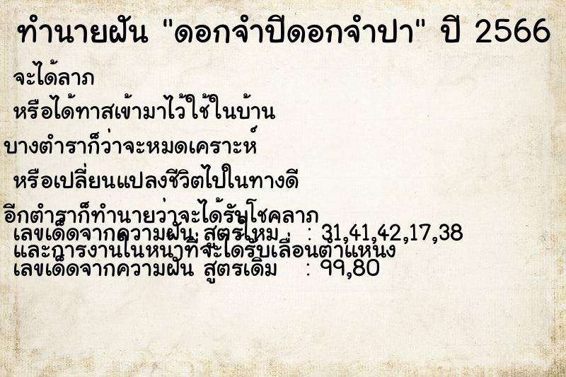 ทำนายฝัน ดอกจำปีดอกจำปา ทำนายฝัน ดอกจำปีดอกจำปา
