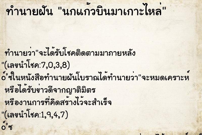 ทำนายฝัน นกแก้วบินมาเกาะไหล่ ทำนายฝัน นกแก้วบินมาเกาะไหล่