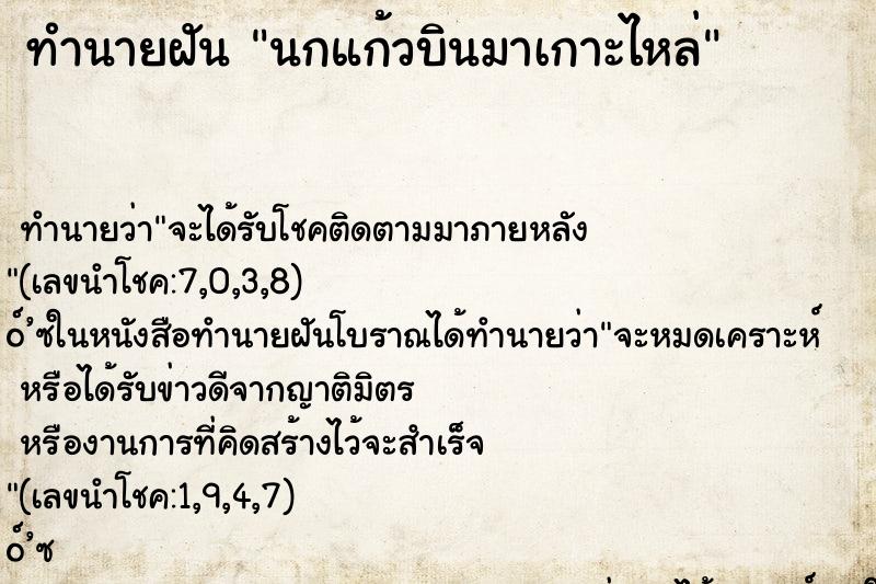 ทำนายฝัน นกแก้วบินมาเกาะไหล่ ตำราโบราณ แม่นที่สุดในโลก