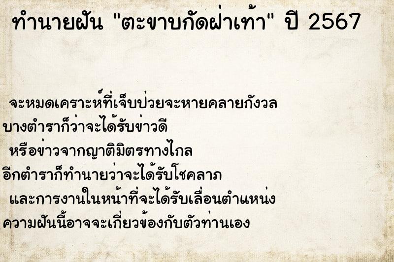 ทำนายฝัน ตะขาบกัดฝ่าเท้า ทำนายฝัน ตะขาบกัดฝ่าเท้า