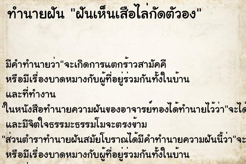 ทำนายฝันฝันเห็นเสือไล่กัดตัวอง ทำนายฝันทำนายฝันฝันเห็นเสือไล่กัดตัวอง
