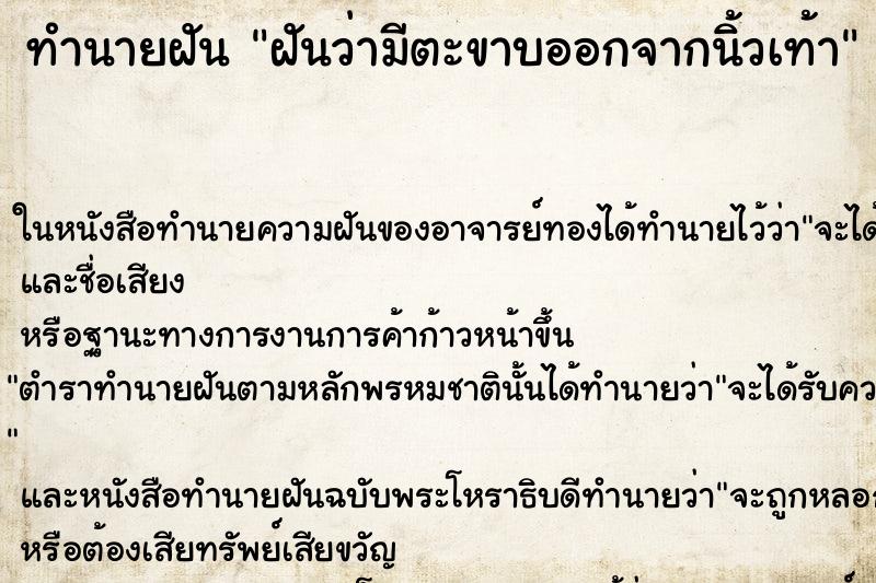 ทำนายฝันฝันว่ามีตะขาบออกจากนิ้วเท้า ทำนายฝันทำนายฝันฝันว่ามีตะขาบออกจากนิ้วเท้า