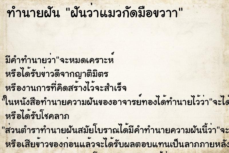 ทำนายฝันฝันว่าแมวกัดมือขวาา ทำนายฝันทำนายฝันฝันว่าแมวกัดมือขวาา