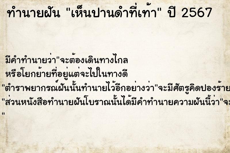 ทำนายฝัน เห็นปานดำที่เท้า ทำนายฝัน เห็นปานดำที่เท้า