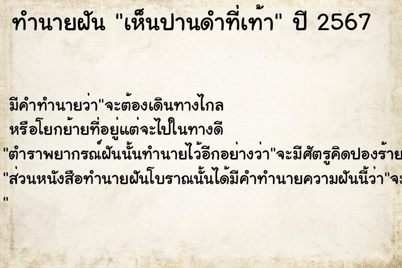 ทำนายฝัน เห็นปานดำที่เท้า ตำราโบราณ แม่นที่สุดในโลก