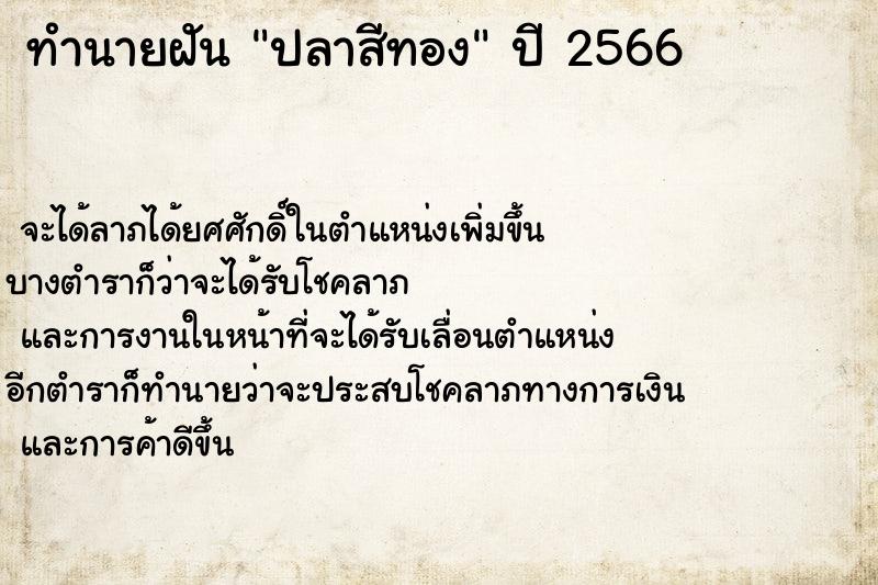 ทำนายฝัน ปลาสีทอง ทำนายฝัน ปลาสีทอง