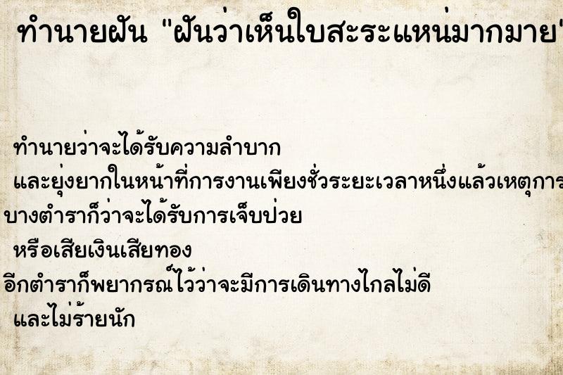 ทำนายฝันฝันว่าเห็นใบสะระแหน่มากมาย ทำนายฝันทำนายฝันฝันว่าเห็นใบสะระแหน่มากมาย