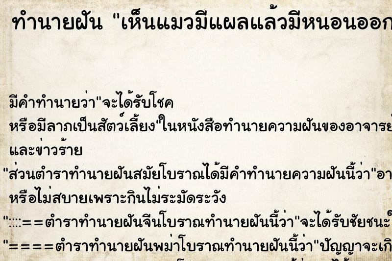 ทำนายฝัน เห็นแมวมีแผลแล้วมีหนอนออกมากลางหลัง ทำนายฝัน เห็นแมวมีแผลแล้วมีหนอนออกมากลางหลัง