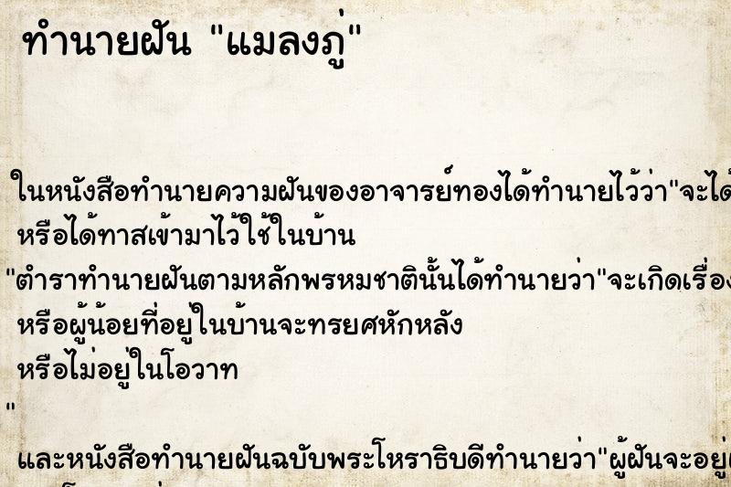 ทำนายฝัน แมลงภู่ ทำนายฝัน แมลงภู่