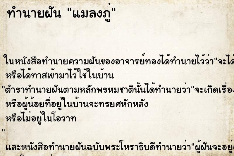 ทำนายฝัน แมลงภู่ ตำราโบราณ แม่นที่สุดในโลก