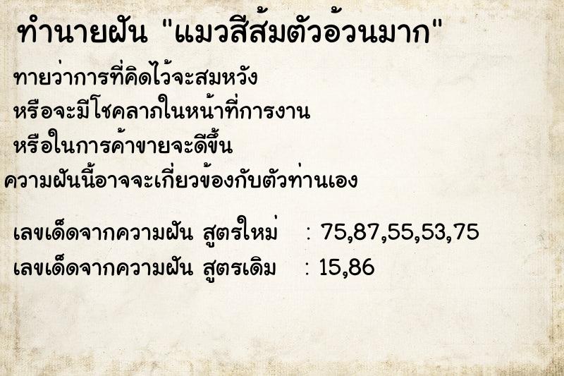 ทำนายฝัน แมวสีส้มตัวอ้วนมาก ทำนายฝัน แมวสีส้มตัวอ้วนมาก