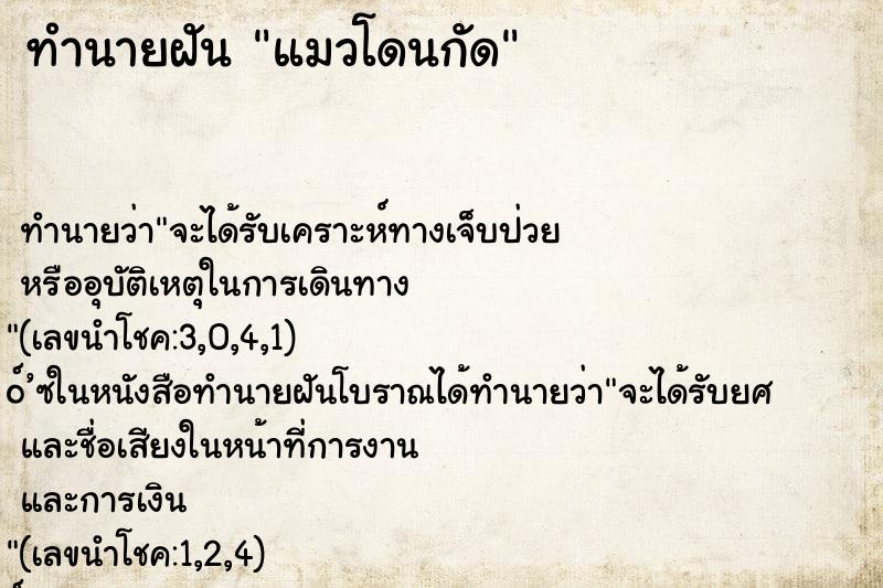 ทำนายฝัน แมวโดนกัด ทำนายฝัน แมวโดนกัด